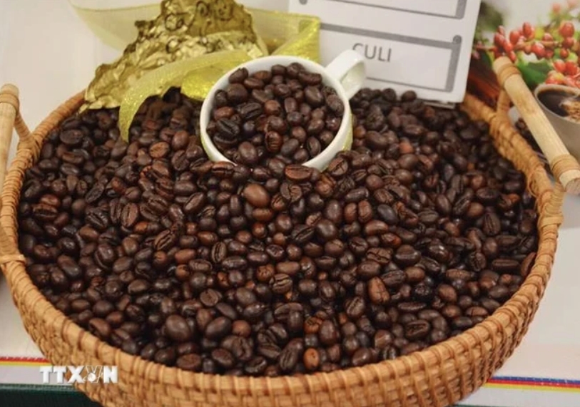 Vietnam’s coffee exports exceed US$5 billion in 2023-2024 crop year